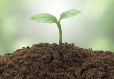 三种肥料造假方式曝光，你购买的便宜肥料可能是这样来的！